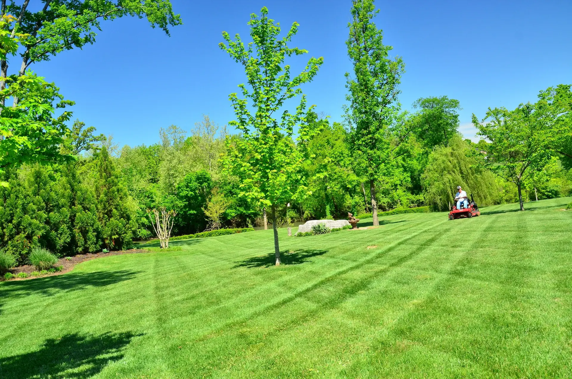Preview of the lawn care demo site by WebDevSam