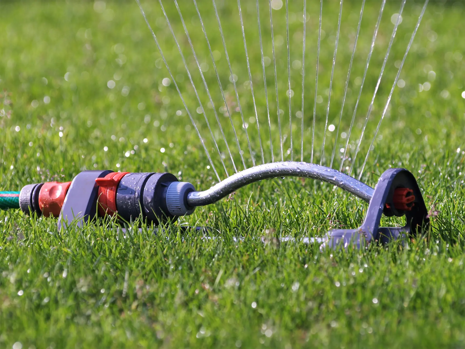 Commercial landscaping and site care