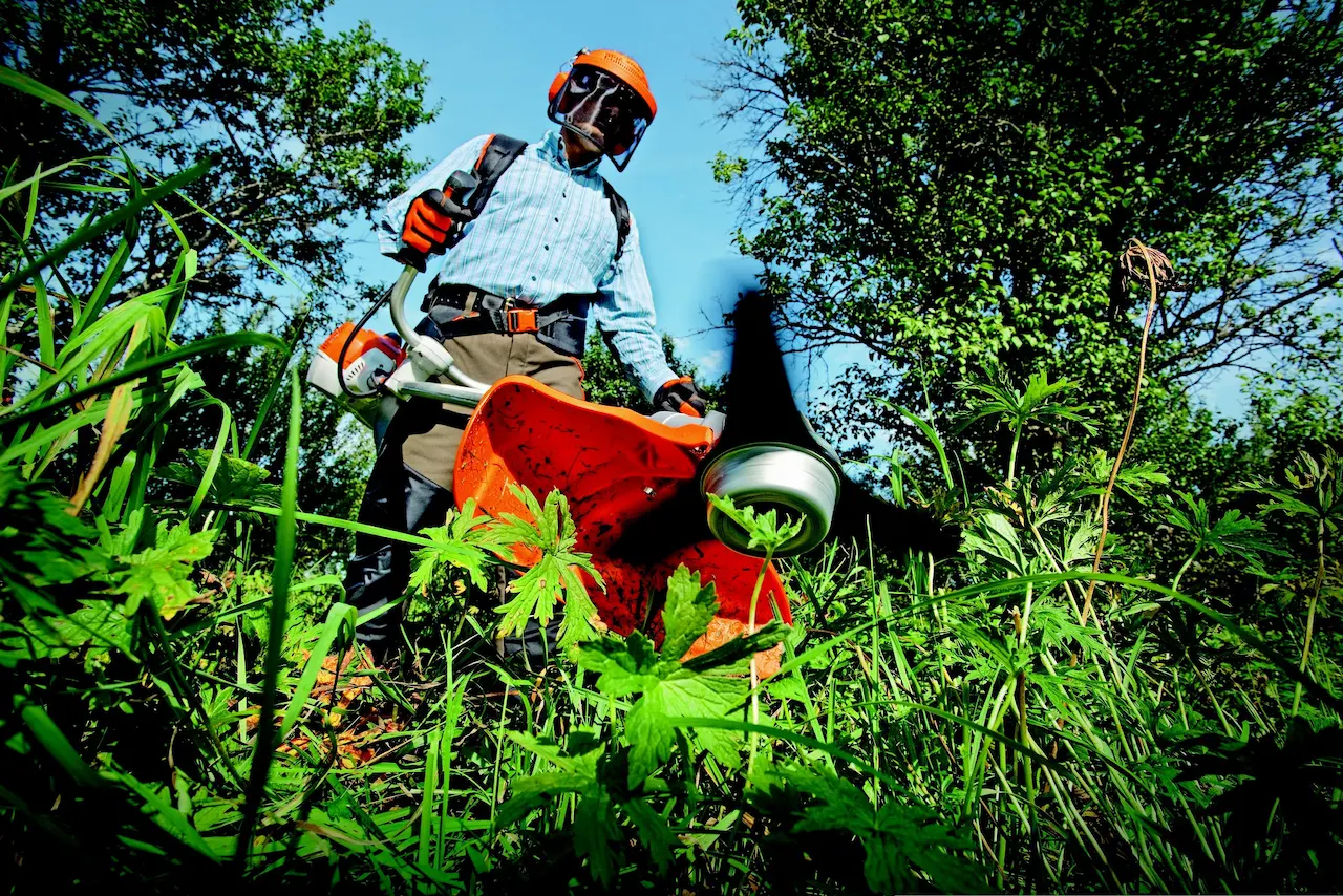 Site management service